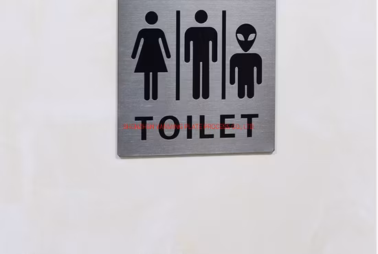 Kundenspezifisches WC-Schild aus gebürstetem Edelstahl für Büro, Hotel, Toilette